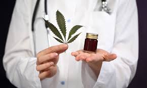 Παραγωγή φαρμακευτικής κάνναβης - Δικηγορικό γραφείο Οικονόμου & Οικονόμου οι καλύτεροι δικηγόροι εμπορικού δικαίου Αθήνα econlaw@live.com 2103603824